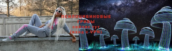 2c-b Арсеньев
