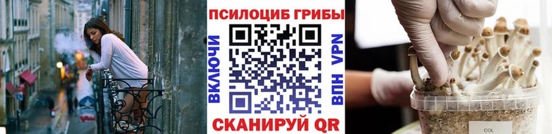 Галлюциногенные грибы ЛСД  Купить  Сосновка 